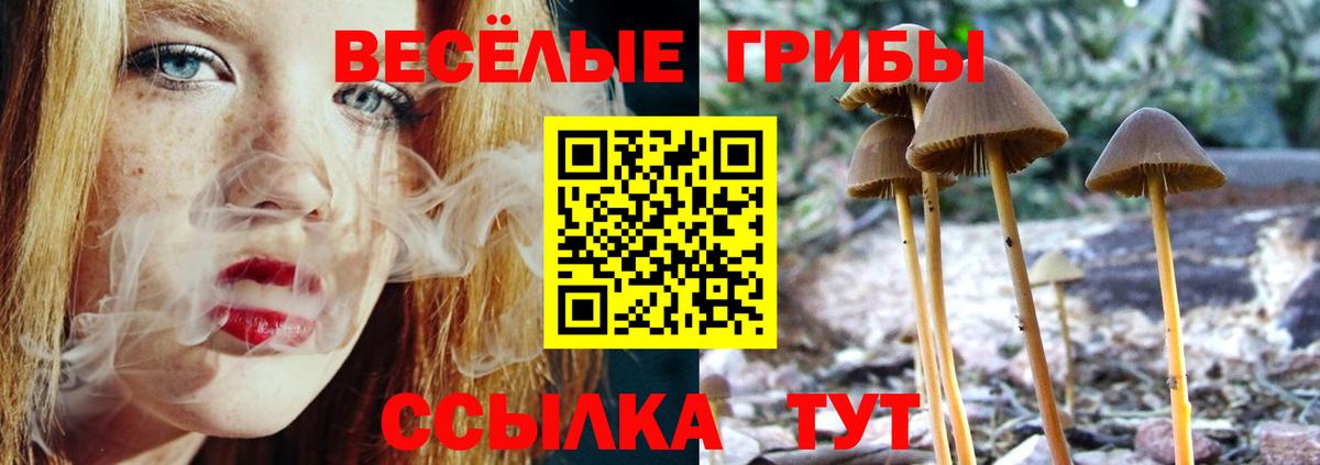 Псилоцибиновые грибы Psilocybe  Вход с VPN  Великий Новгород 